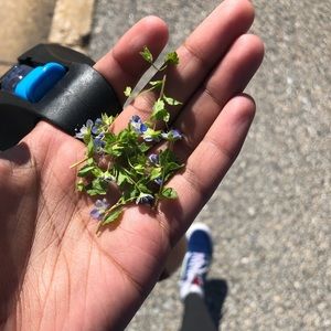 Meet your Posher, Han